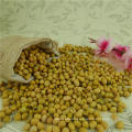 high protein Soybean soy beans